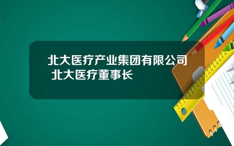 北大医疗产业集团有限公司 北大医疗董事长